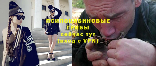 МДПВ Алексеевка