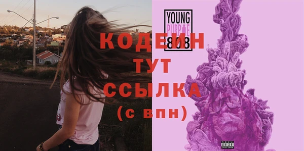 спиды Гусев