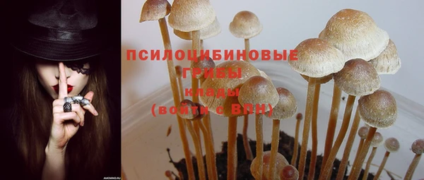 индика Алзамай