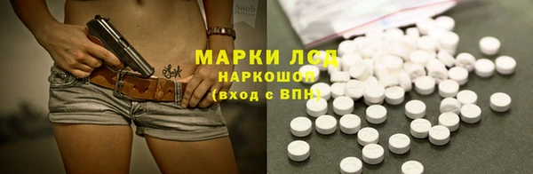индика Алзамай