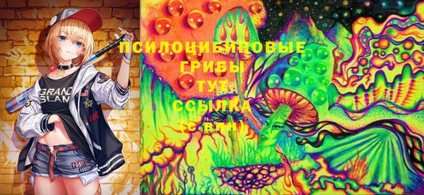 шишки Алексин