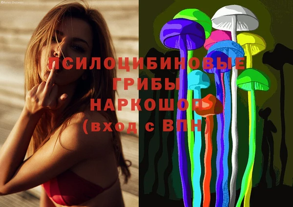 шишки Алексин