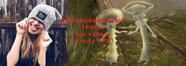 шишки Алексин