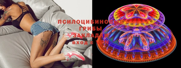 индика Алзамай
