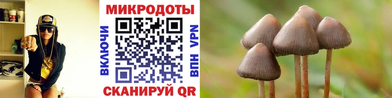 Галлюциногенные грибы GOLDEN TEACHER  Пикалёво 