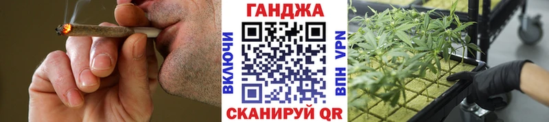 где купить наркоту  omg как войти  Канабис марихуана  Пикалёво 